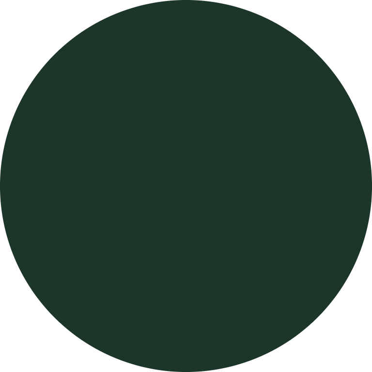 KwikCaps Self Adhesive Screw Cover Caps Fir Green U699 (304) - Bedrooms Plus