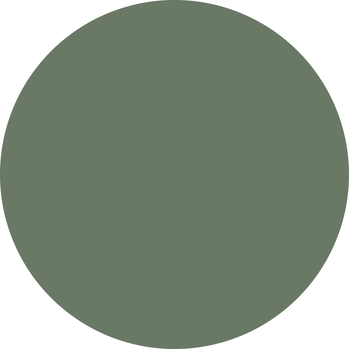KwikCaps Self Adhesive Screw Cover Caps Smoke Green K521 (634)