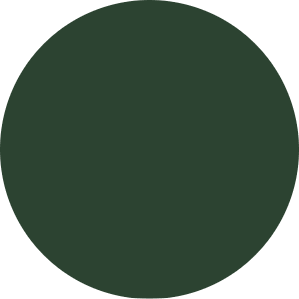 KwikCaps Self Adhesive Screw Cover Caps Bottle Green U19016 (618) - Bedrooms Plus