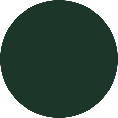 KwikCaps Self Adhesive Screw Cover Caps Fir Green U699 (304) - Bedrooms Plus