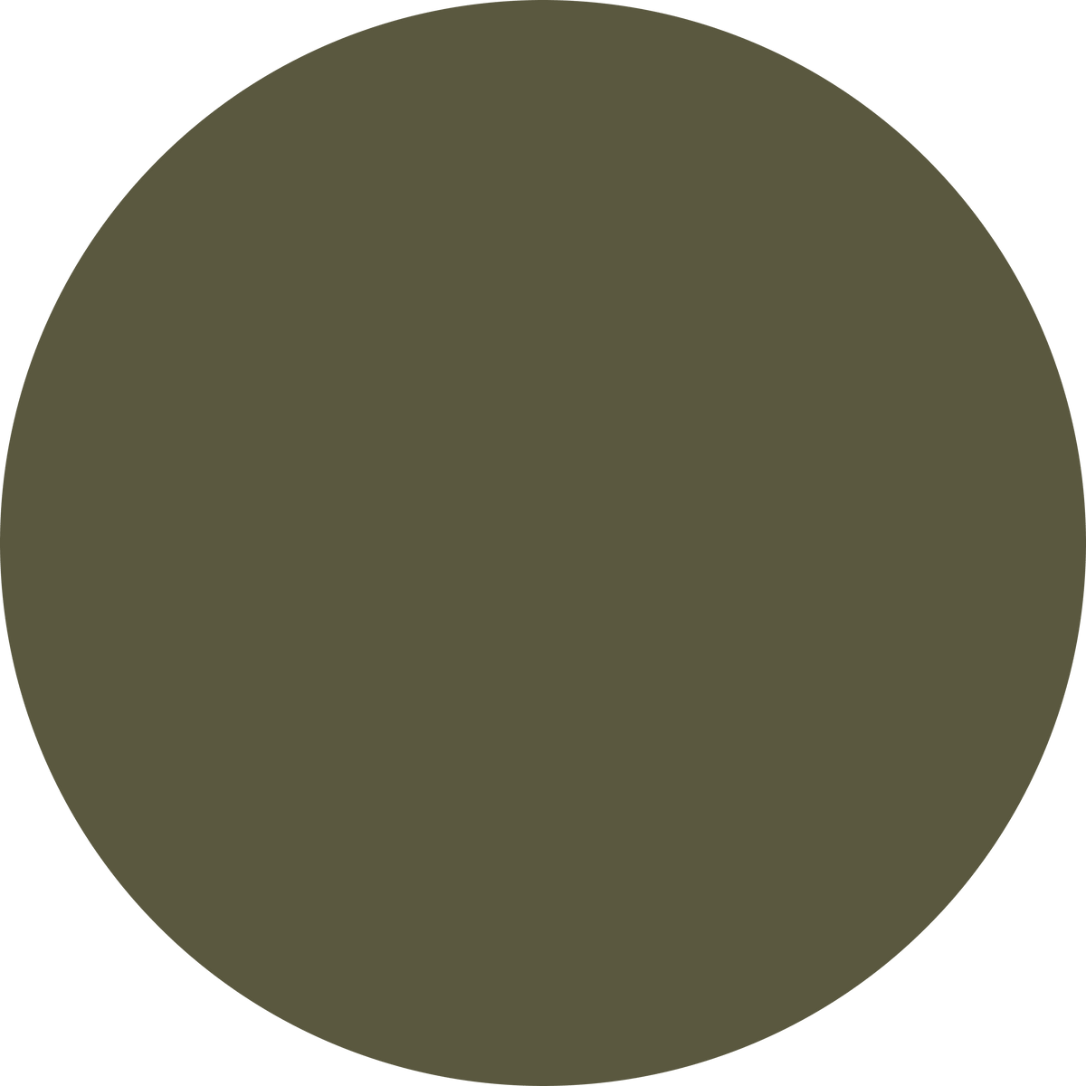 KwikCaps Self Adhesive Screw Cover Caps Olive Green PU2209 (680) - Bedrooms Plus